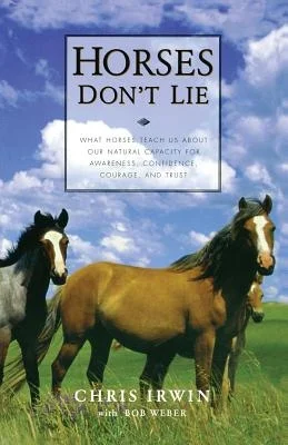 booksnthingswarehouse-11312069