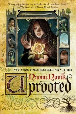 booksnthingswarehouse-11346556