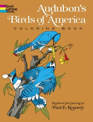 booksnthingswarehouse-11385714