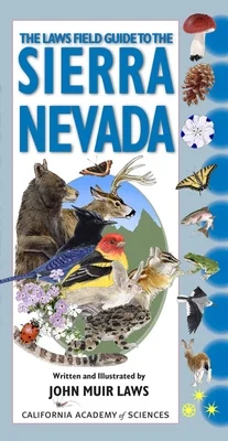 booksnthingswarehouse-11431051