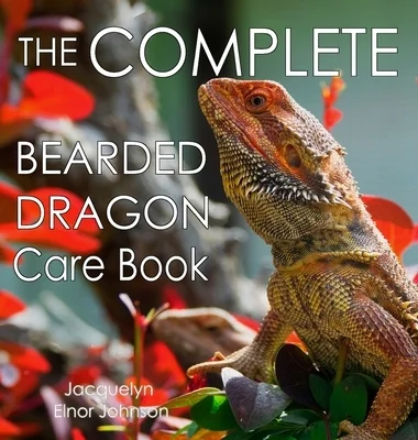 booksnthingswarehouse-11513502