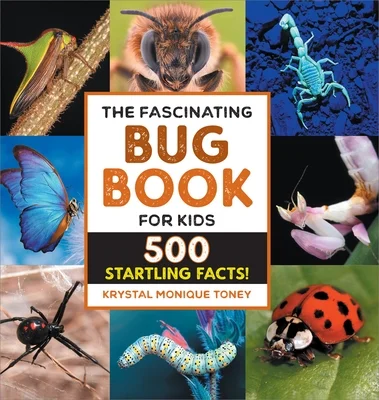 booksnthingswarehouse-11562850