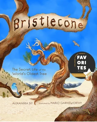booksnthingswarehouse-11564897