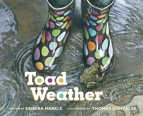 booksnthingswarehouse-11988840