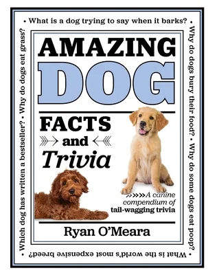booksnthingswarehouse-12039584