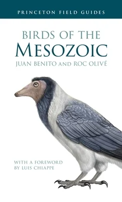 booksnthingswarehouse-12185587