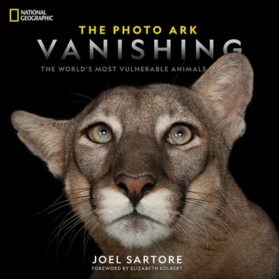 booksnthingswarehouse-12282382