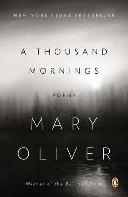 booksnthingswarehouse-21301953