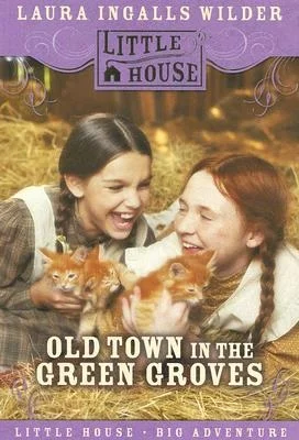 booksnthingswarehouse-21319258
