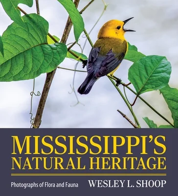 booksnthingswarehouse-21715935