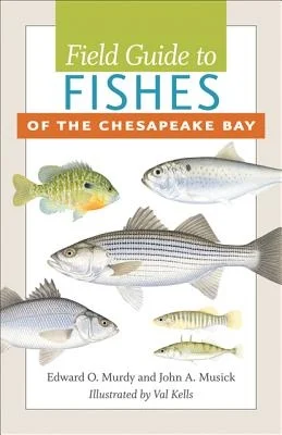 booksnthingswarehouse-21848380