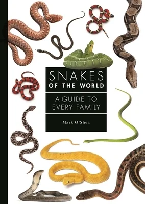 booksnthingswarehouse-22265999