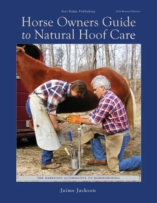 booksnthingswarehouse-31336988