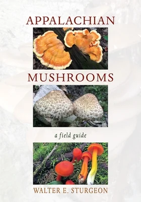 booksnthingswarehouse-31365288
