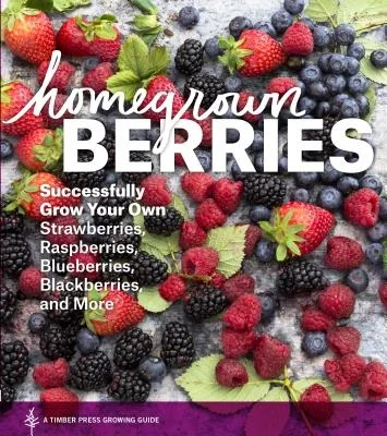 booksnthingswarehouse-31559268