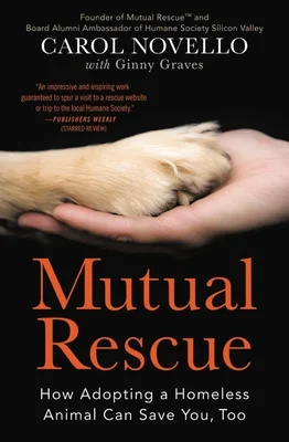 booksnthingswarehouse-31562660