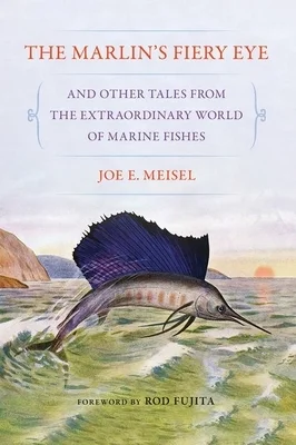 booksnthingswarehouse-31674048