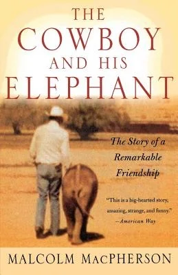 booksnthingswarehouse-31842179