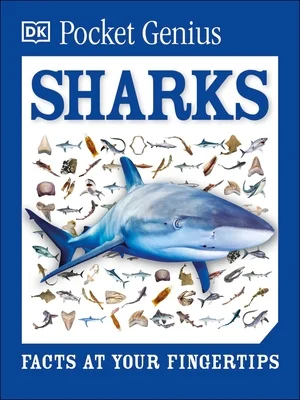 booksnthingswarehouse-31951823