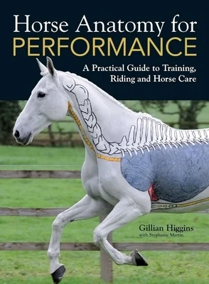 booksnthingswarehouse-32055325