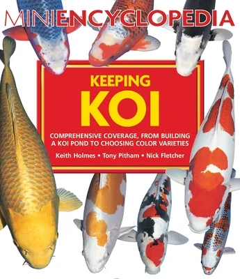 booksnthingswarehouse-32241712