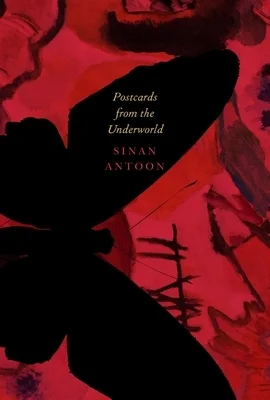 booksnthingswarehouse-32248586