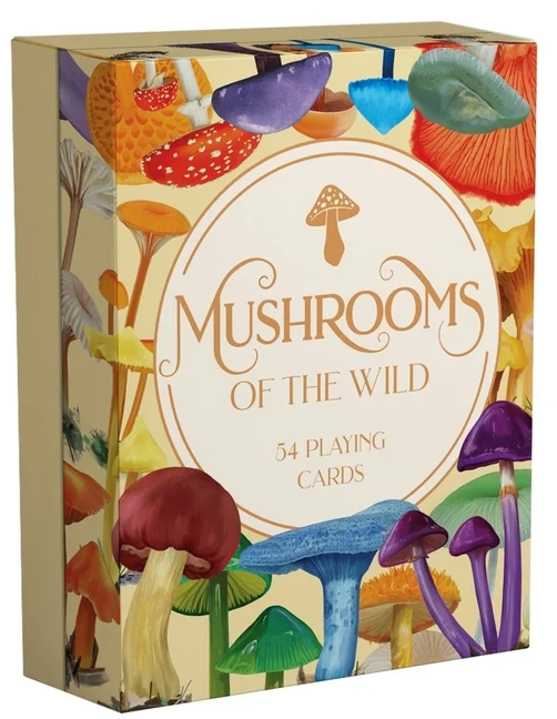 booksnthingswarehouse-32270458