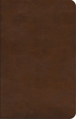 booksnthingswarehouse-41331087