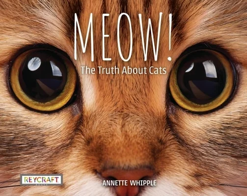 booksnthingswarehouse-41415815