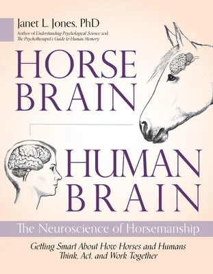 booksnthingswarehouse-41612071