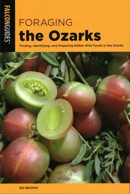 booksnthingswarehouse-41840959