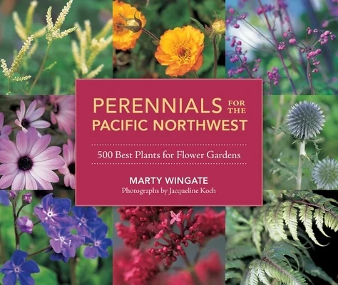 booksnthingswarehouse-41996893