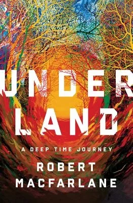 booksnthingswarehouse-42273709