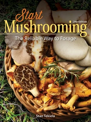 booksnthingswarehouse1033413