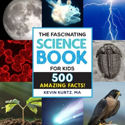 booksnthingswarehouse1046322