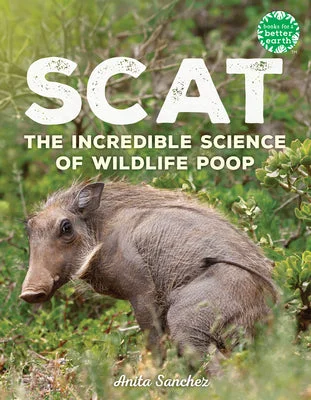 flowerburst-21164155