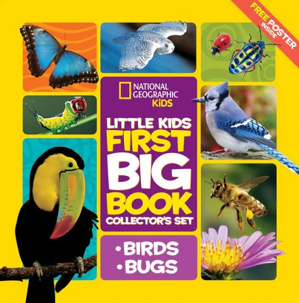 massivebookshop-11464801
