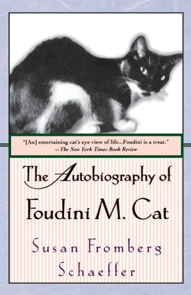 massivebookshop-21636639
