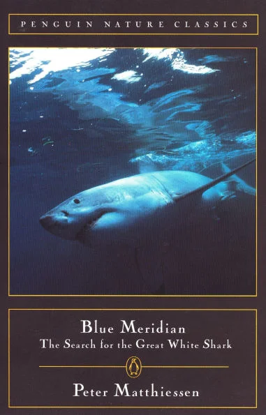 massivebookshop-31696202