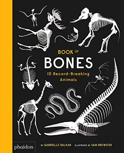 massivebookshop-31722538