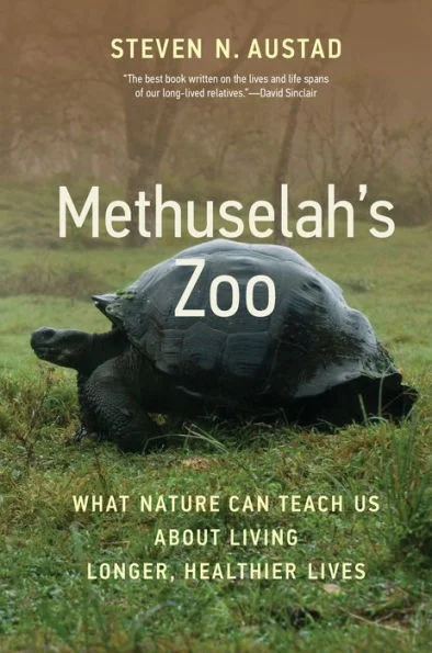 massivebookshop-42254818