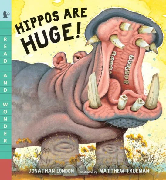 massivebookshop1526207