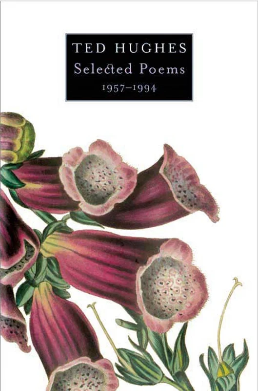 roundaboutbookstore-11440413
