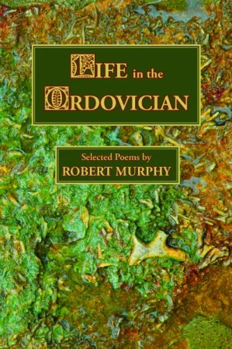 roundaboutbookstore-11443105