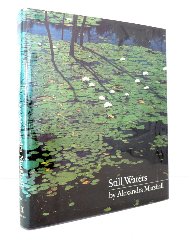 roundaboutbookstore-11466099