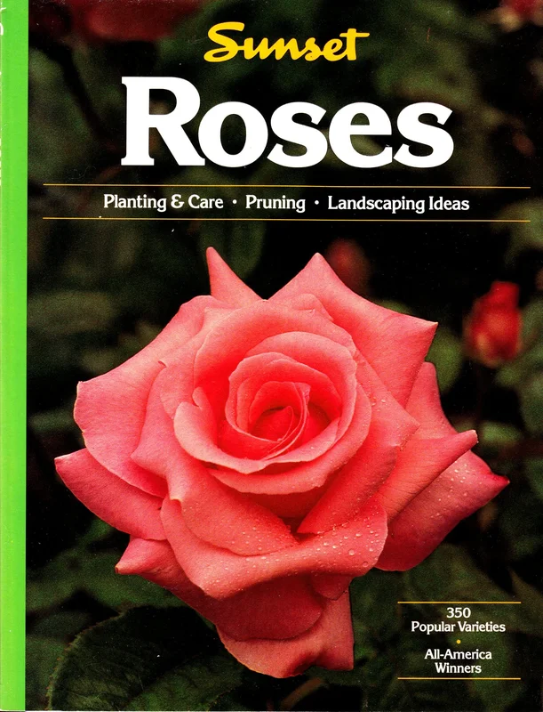 roundaboutbookstore-11509936