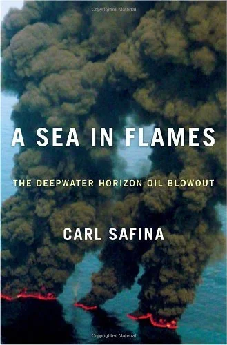 roundaboutbookstore-11530775