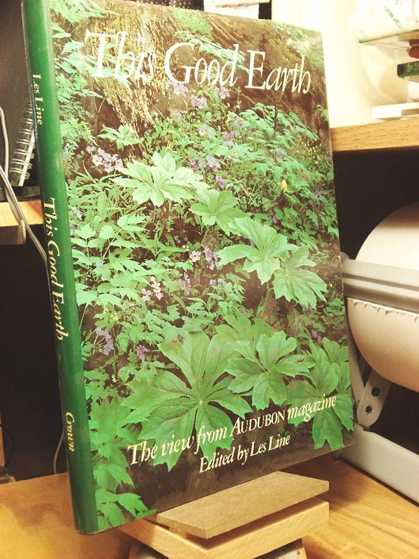 roundaboutbookstore-11552326