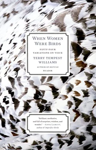 roundaboutbookstore-11583533