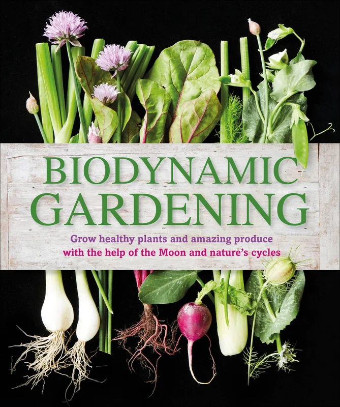 roundaboutbookstore-11593347